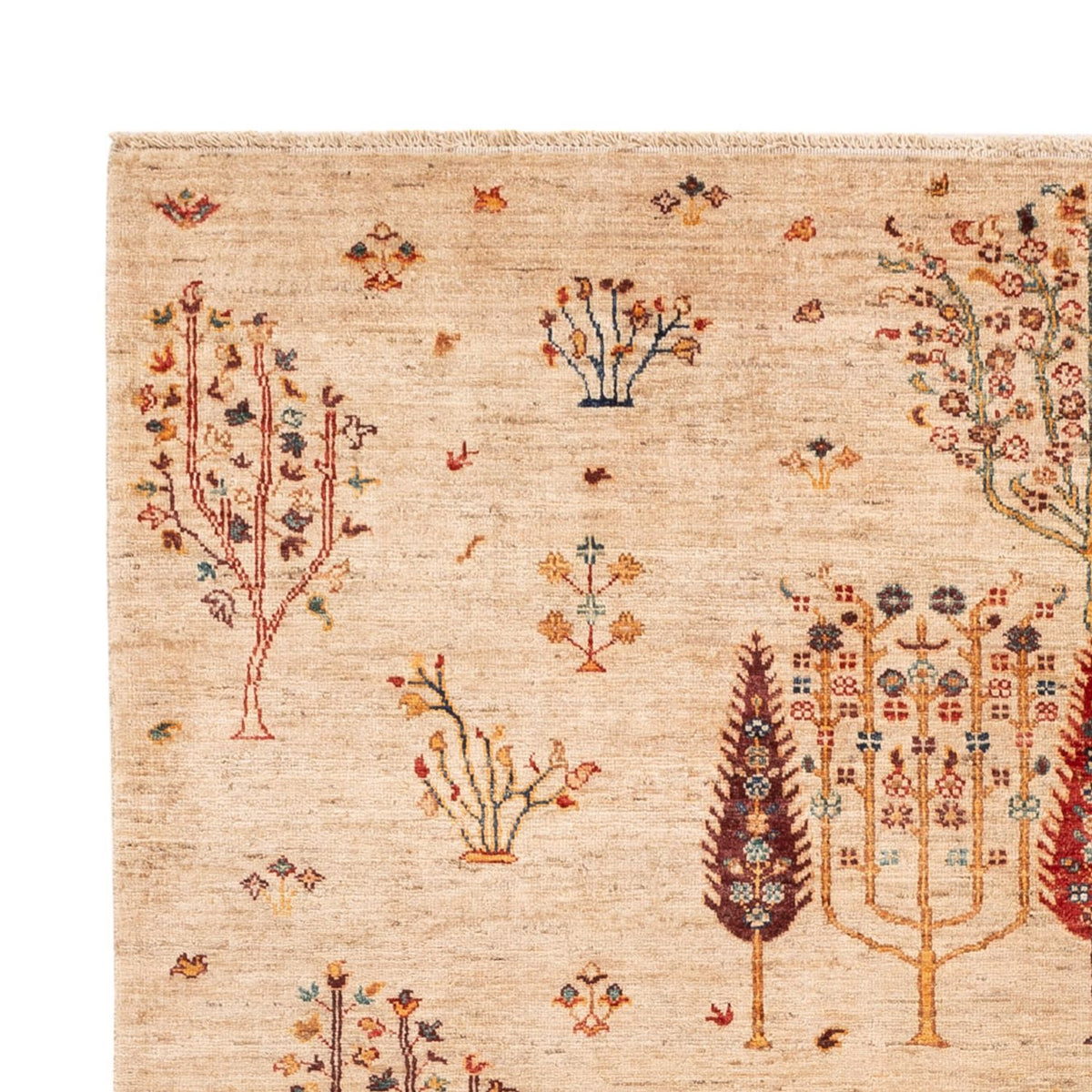 Tappeto Ziegler - Ariana - 246 x 171 cm - beige chiaro