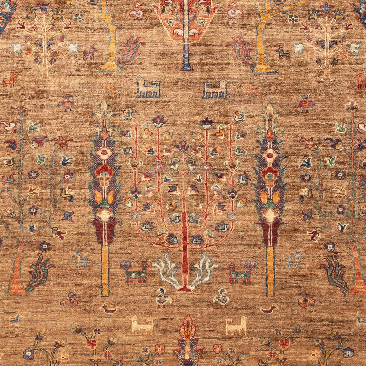 Tappeto Ziegler - Ariana - 238 x 176 cm - marrone