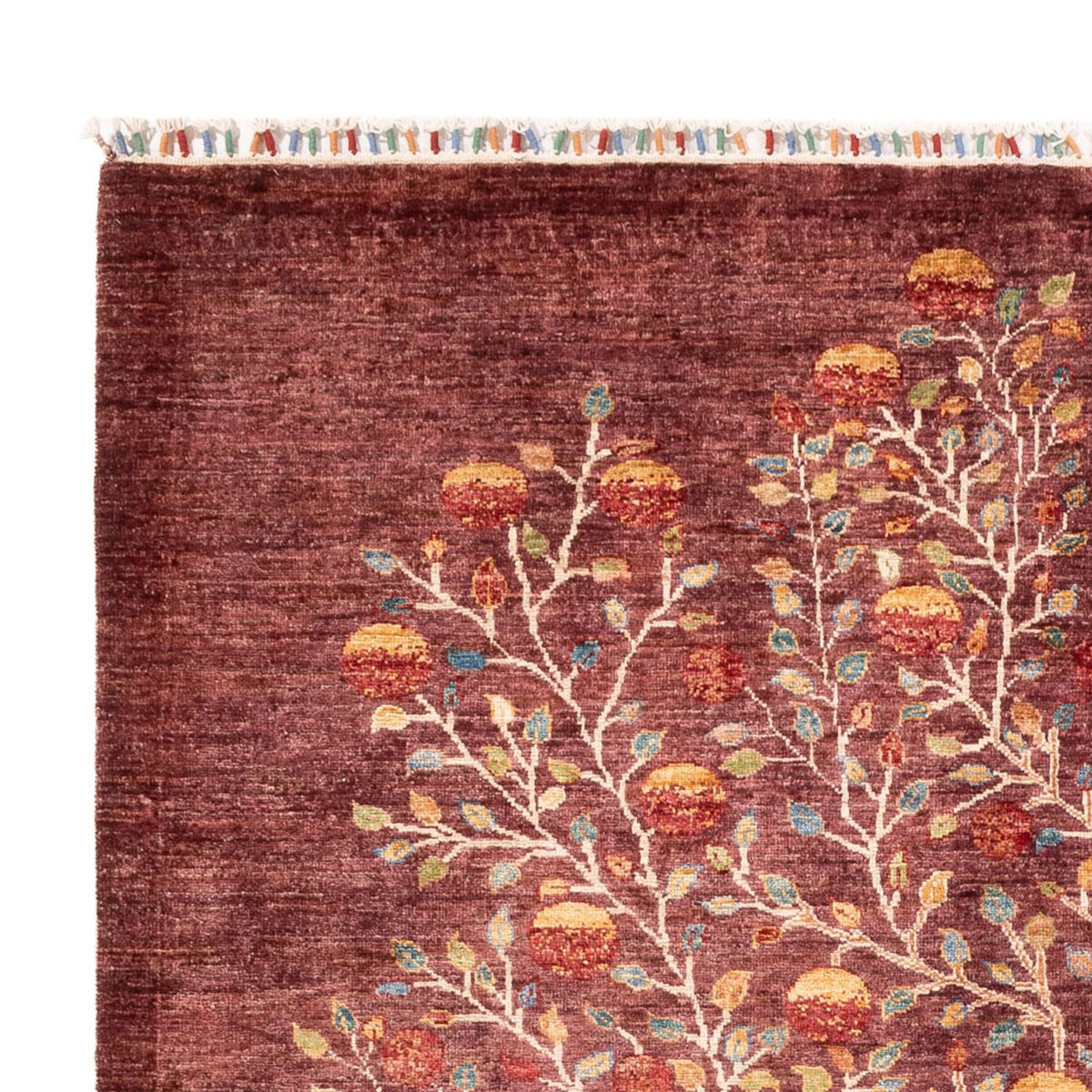 Ariana Tappeto 175x240cm - Tappeto orientale