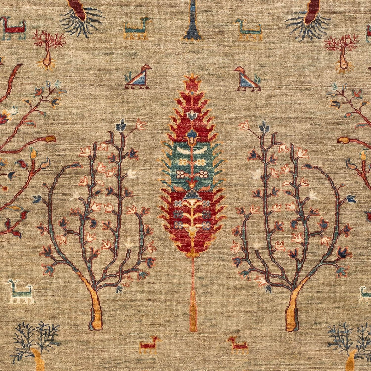 Tappeto Ziegler - Ariana - 241 x 174 cm - sabbia