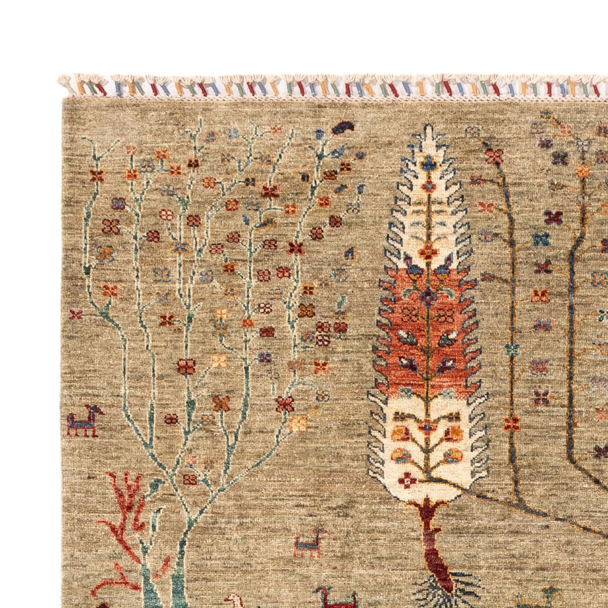 Tappeto Ziegler - Ariana - 241 x 174 cm - sabbia