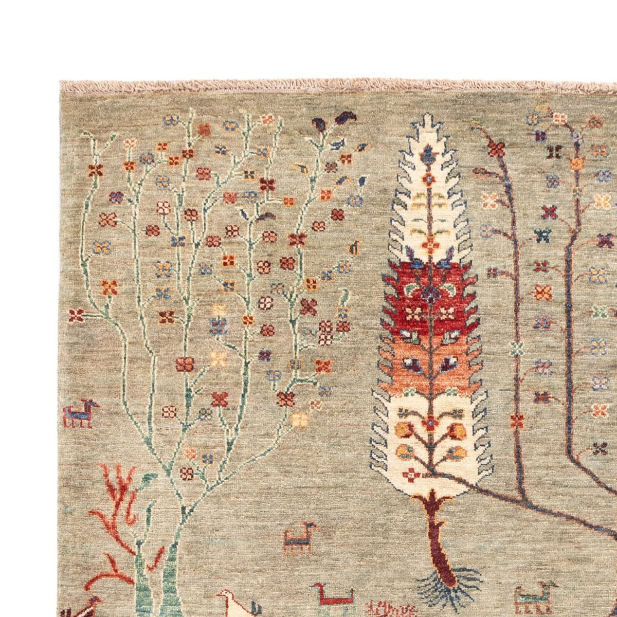 Tappeto Ziegler - Ariana - 244 x 173 cm - sabbia