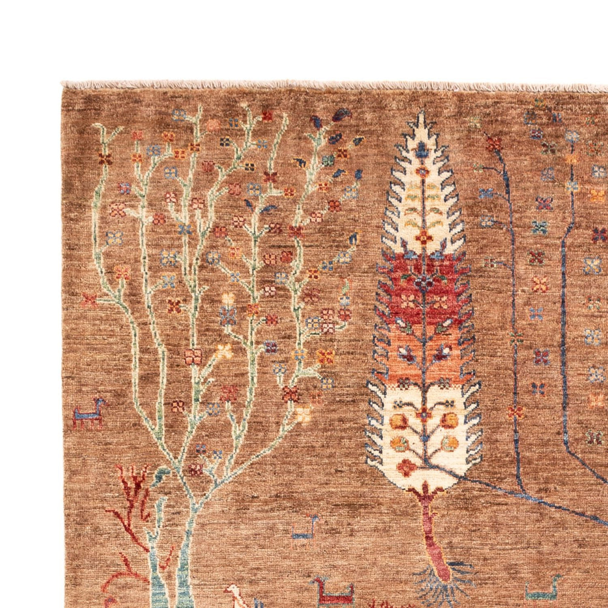 Tappeto Ziegler - Ariana - 246 x 172 cm - marrone