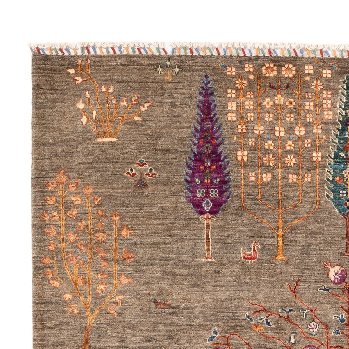 Tappeto Ziegler - Ariana - 245 x 172 cm - beige scuro