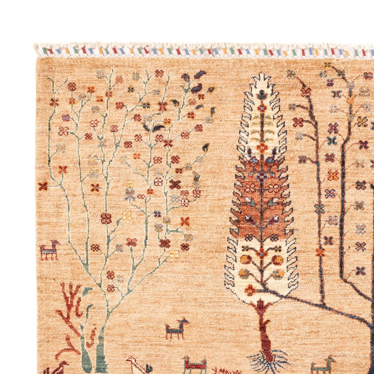 Tappeto Ziegler - Ariana - 236 x 173 cm - beige