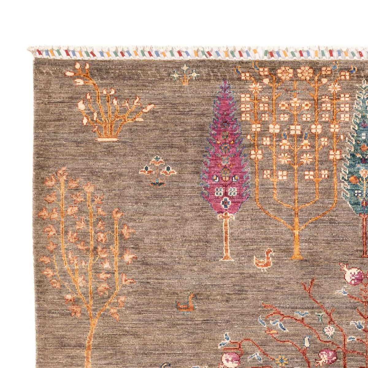 Tappeto Ziegler - Ariana - 237 x 171 cm - grigio