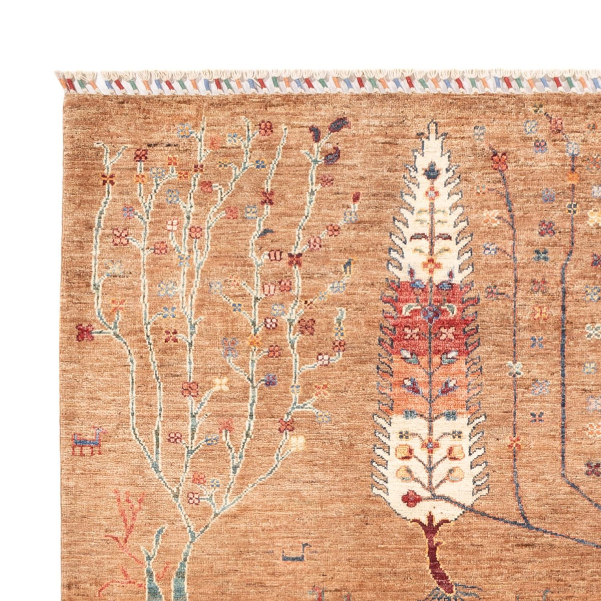 Tappeto Ziegler - Ariana - 237 x 173 cm - beige chiaro