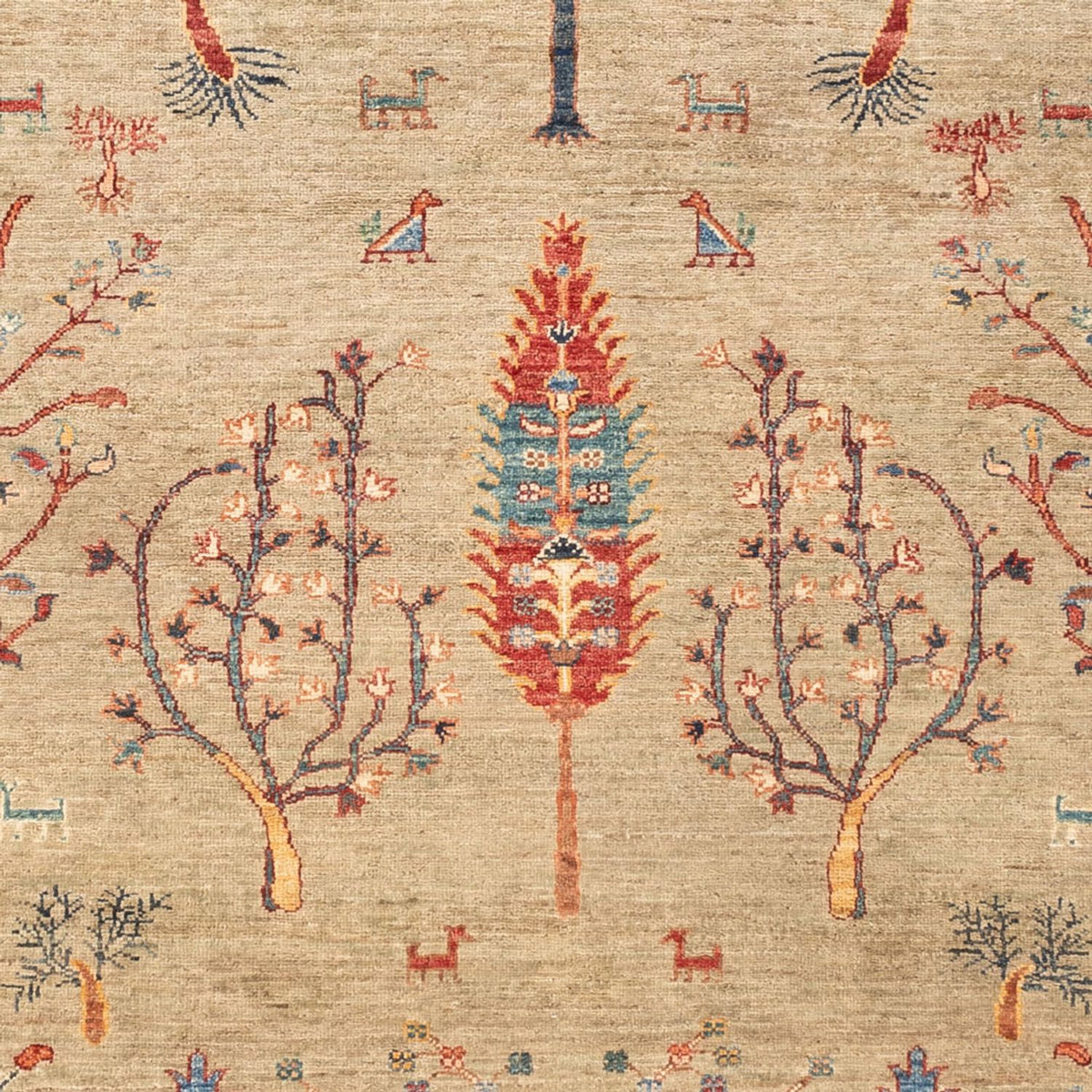 Tappeto Ziegler - Ariana - 235 x 172 cm - grigio chiaro