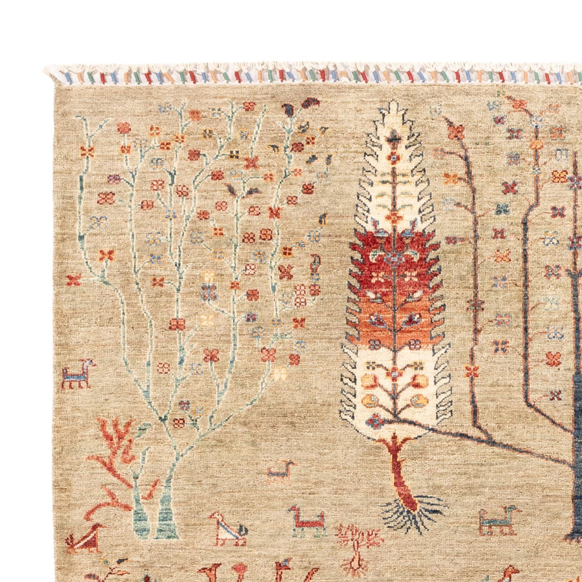 Tappeto Ziegler - Ariana - 235 x 172 cm - grigio chiaro