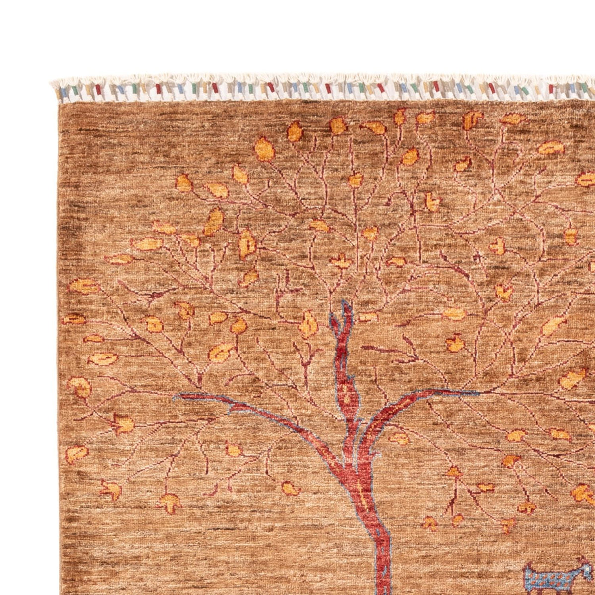 Tappeto Ziegler - Ariana - 245 x 174 cm - beige scuro