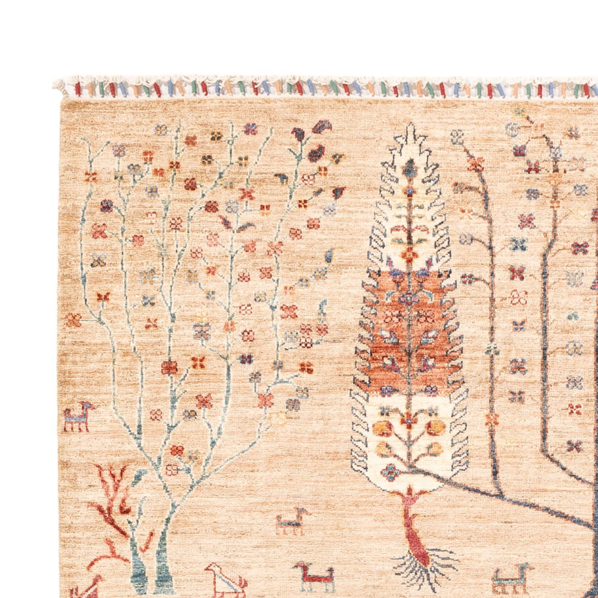 Tappeto Ziegler - Ariana - 230 x 170 cm - beige chiaro