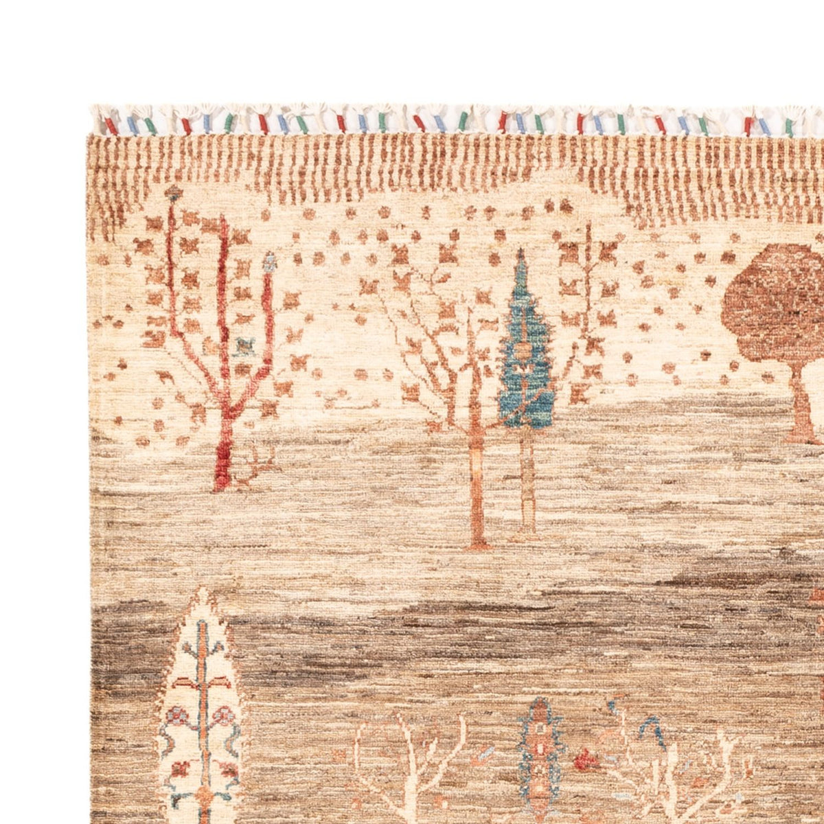 Tappeto Ziegler - Ariana - 230 x 170 cm - beige