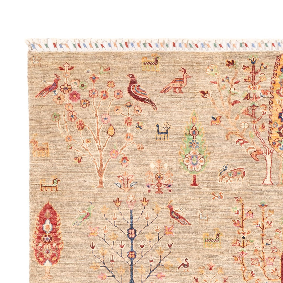 Tappeto Ziegler - Ariana - 242 x 169 cm - beige chiaro
