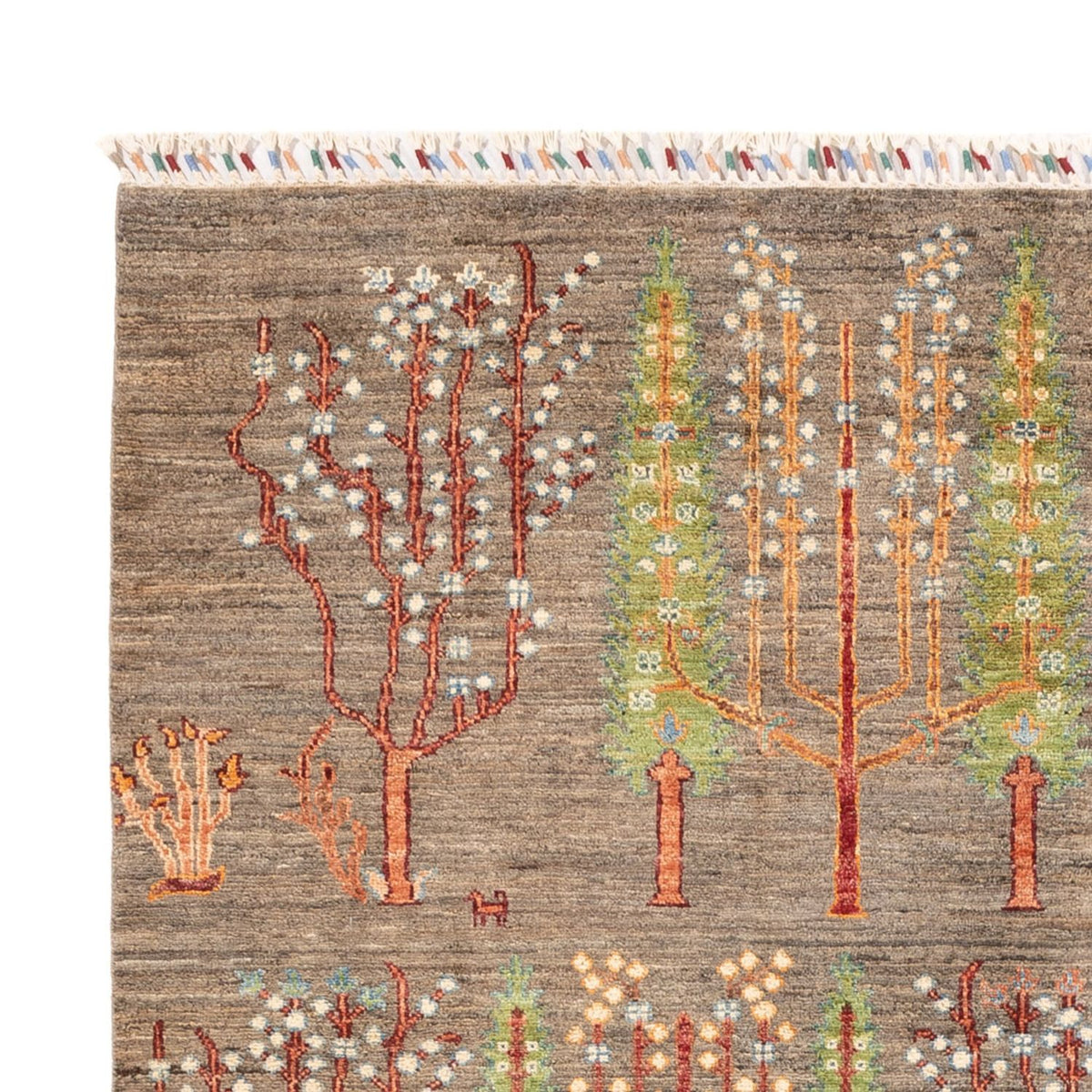 Tappeto Ziegler - Ariana - 232 x 169 cm - beige scuro