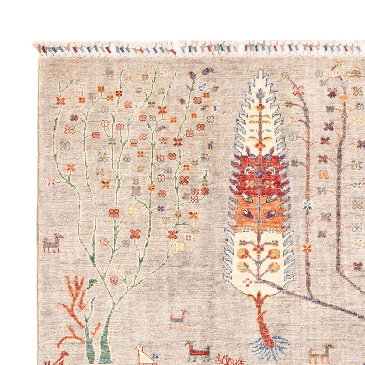 Tappeto Ziegler - Ariana - 242 x 173 cm - sabbia