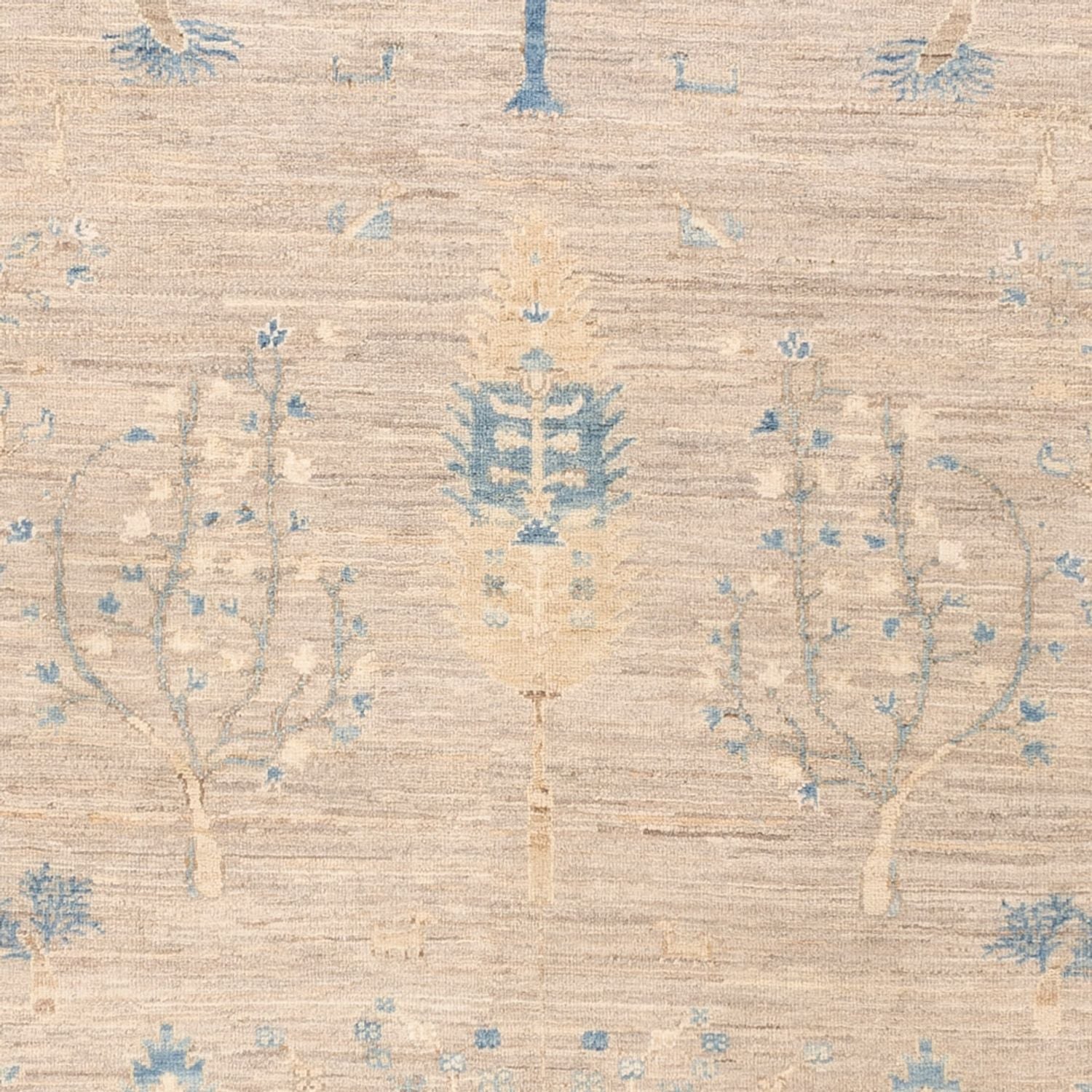 Tappeto Ziegler - Ariana - Reale - 212 x 170 cm - sabbia
