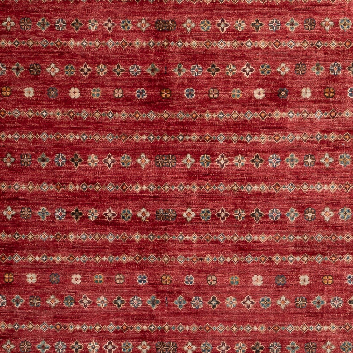 Tappeto Ziegler - Shal - 268 x 183 cm - rosso