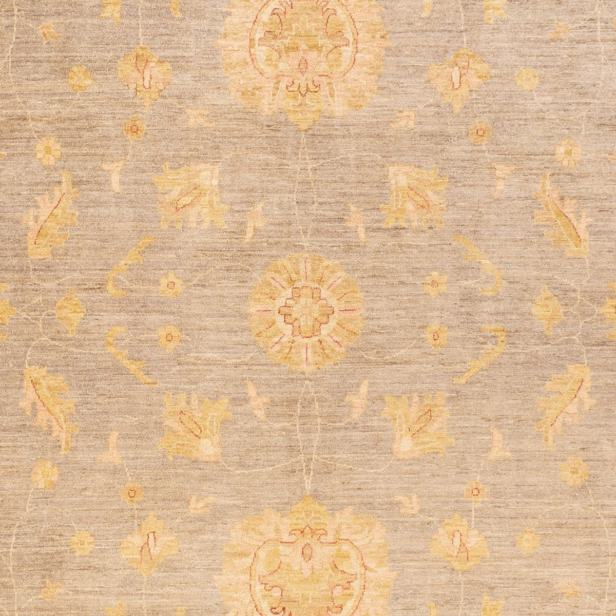 Tappeto Ziegler - 397 x 304 cm - beige scuro