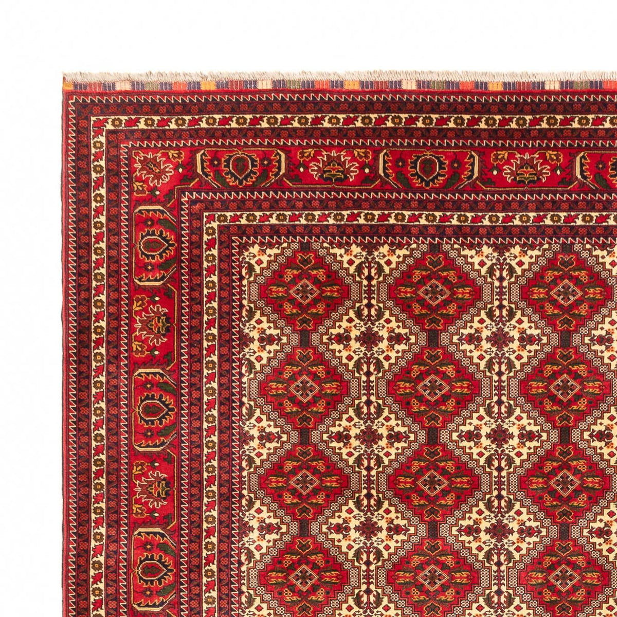 Tappeto afgano - Reale - 385 x 300 cm - multicolore