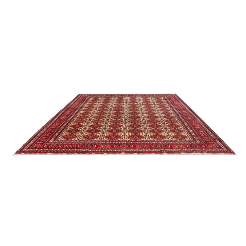 Tappeto afgano - Reale - 385 x 300 cm - multicolore