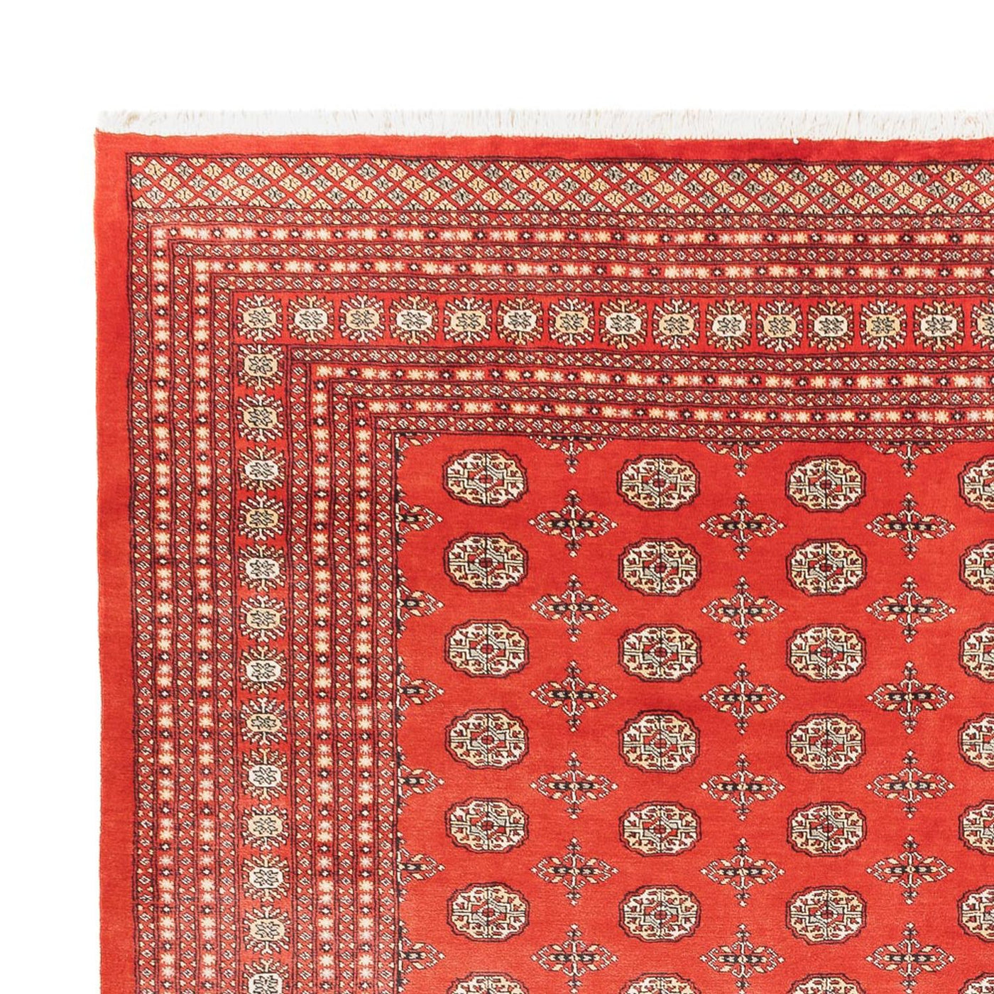 Bukhara Tappeto 401x311cm - Tappeto orientale