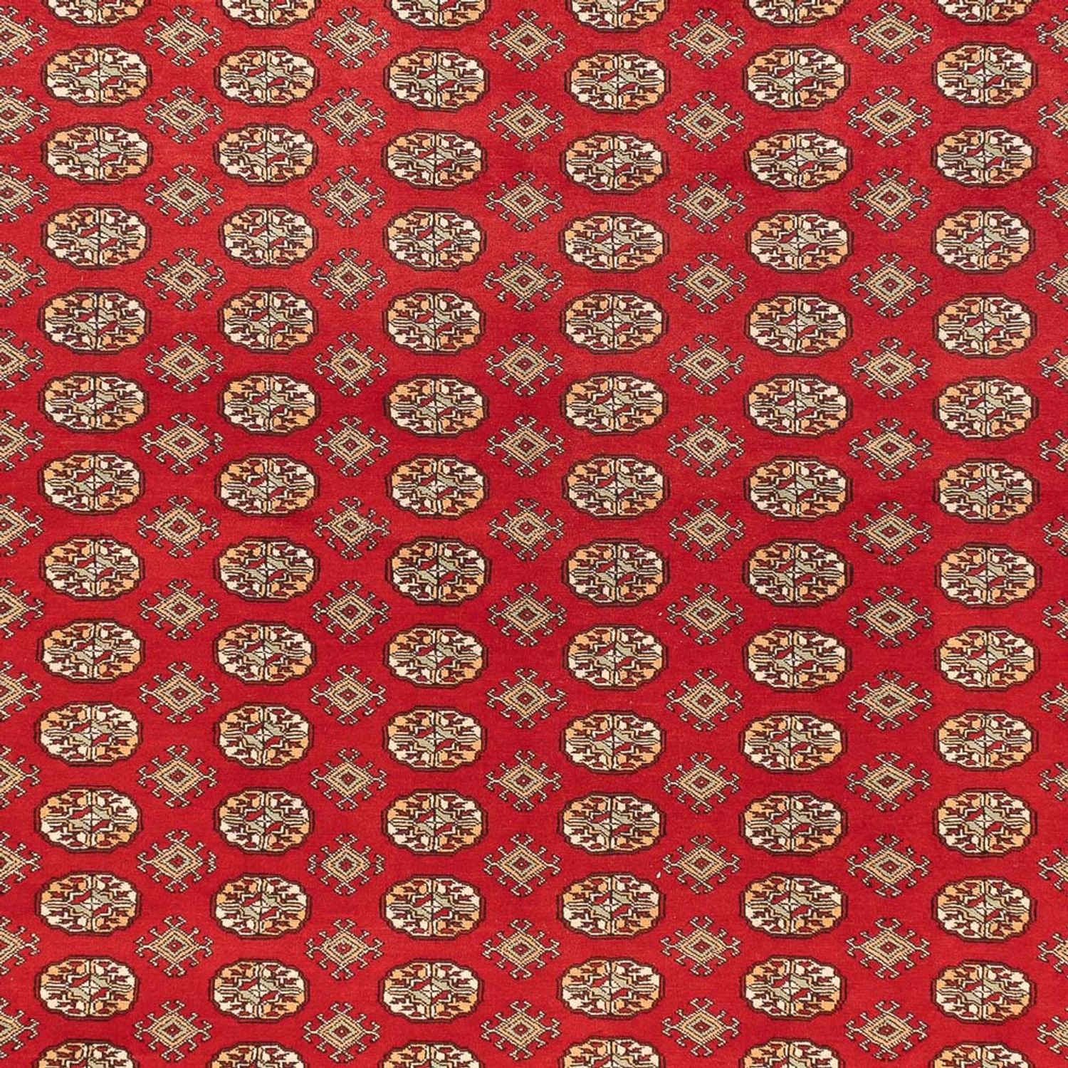 Tappeto afgano - Bukhara - 418 x 310 cm - rosso chiaro
