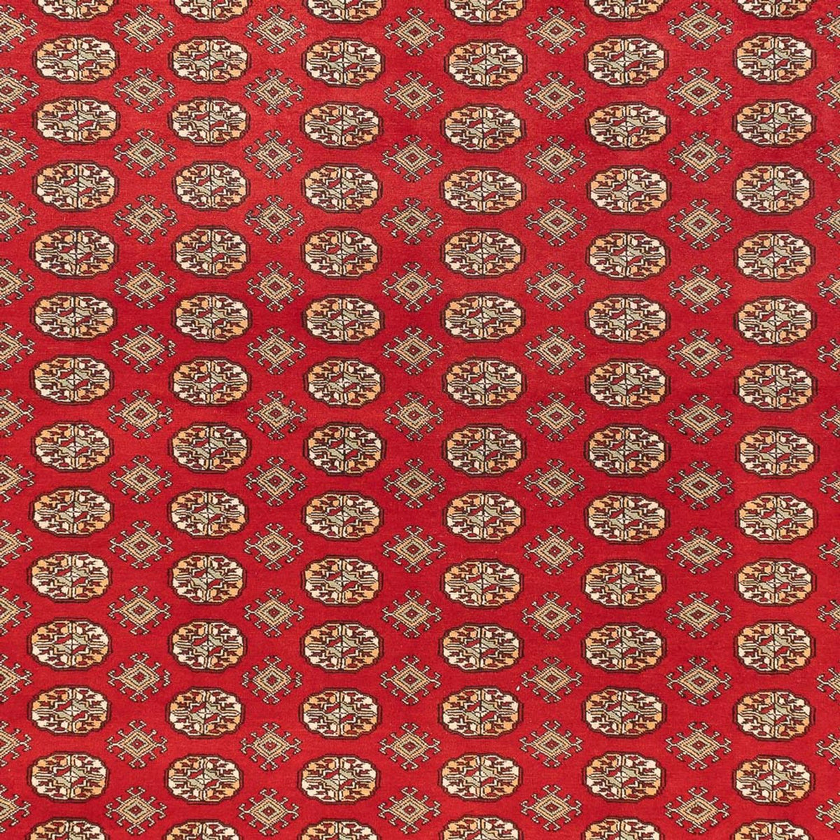 Tappeto afgano - Bukhara - 418 x 310 cm - rosso chiaro