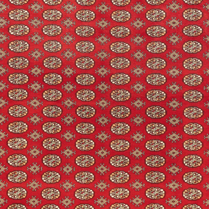 Tappeto afgano - Bukhara - 418 x 310 cm - rosso chiaro