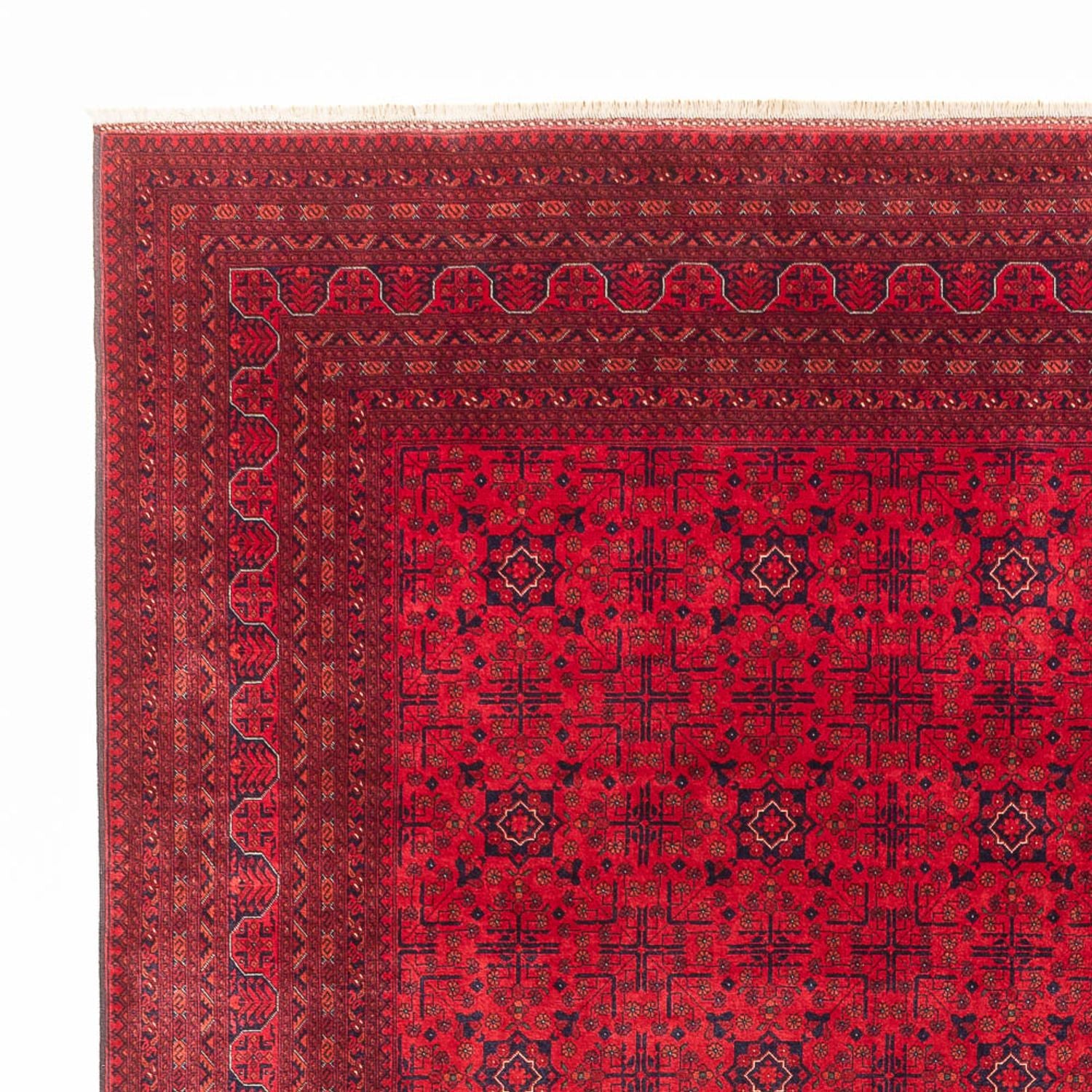 Tappeto afgano - Reale - 390 x 292 cm - rosso