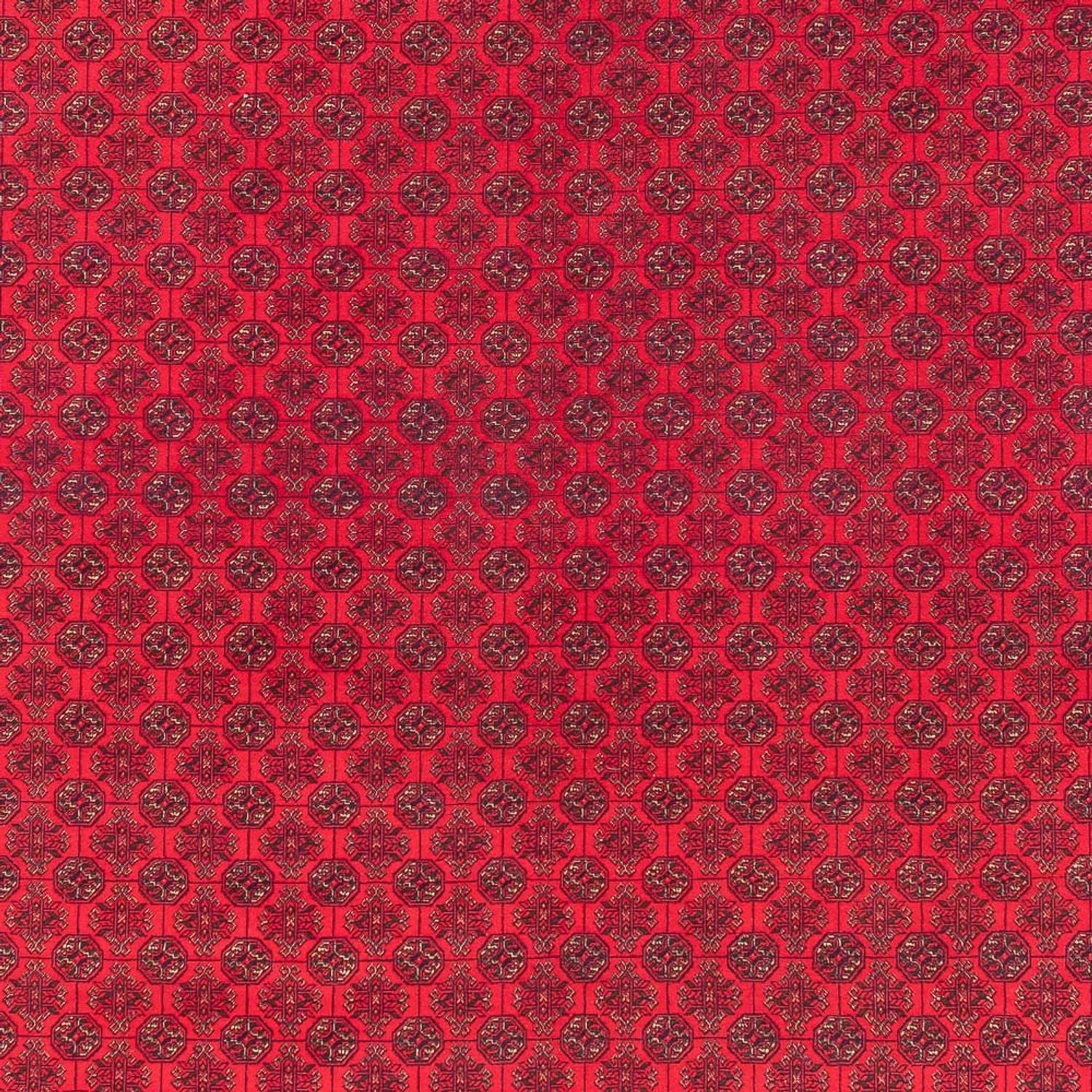 Tappeto afgano - Reale - 380 x 292 cm - rosso