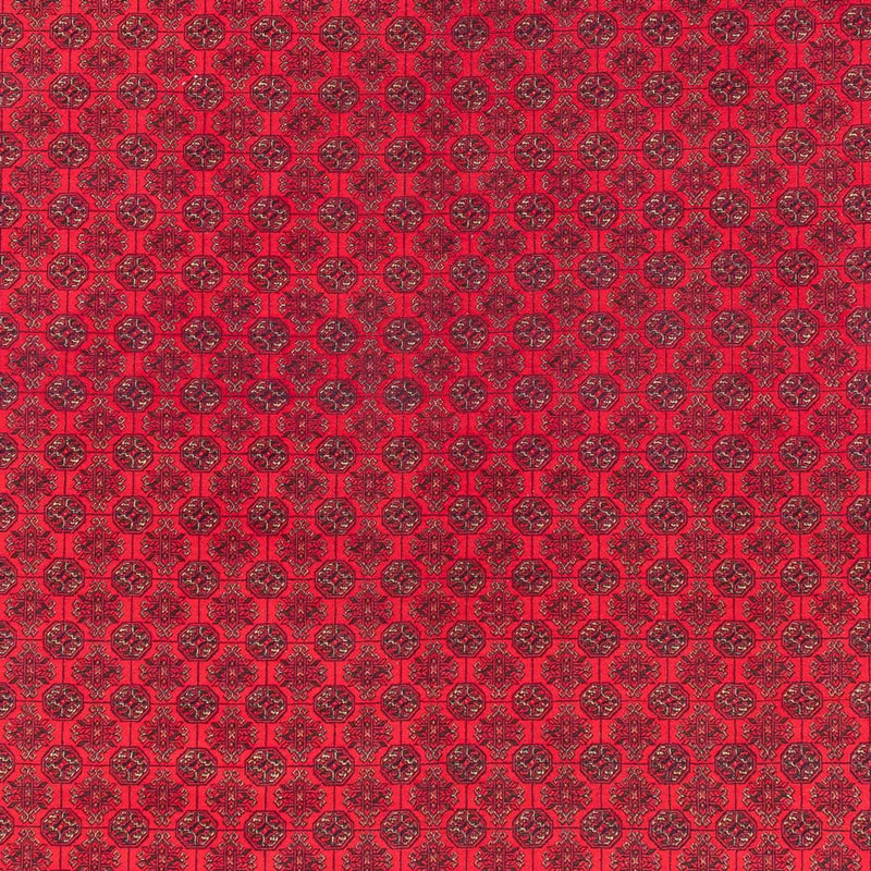 Tappeto afgano - Reale - 380 x 292 cm - rosso