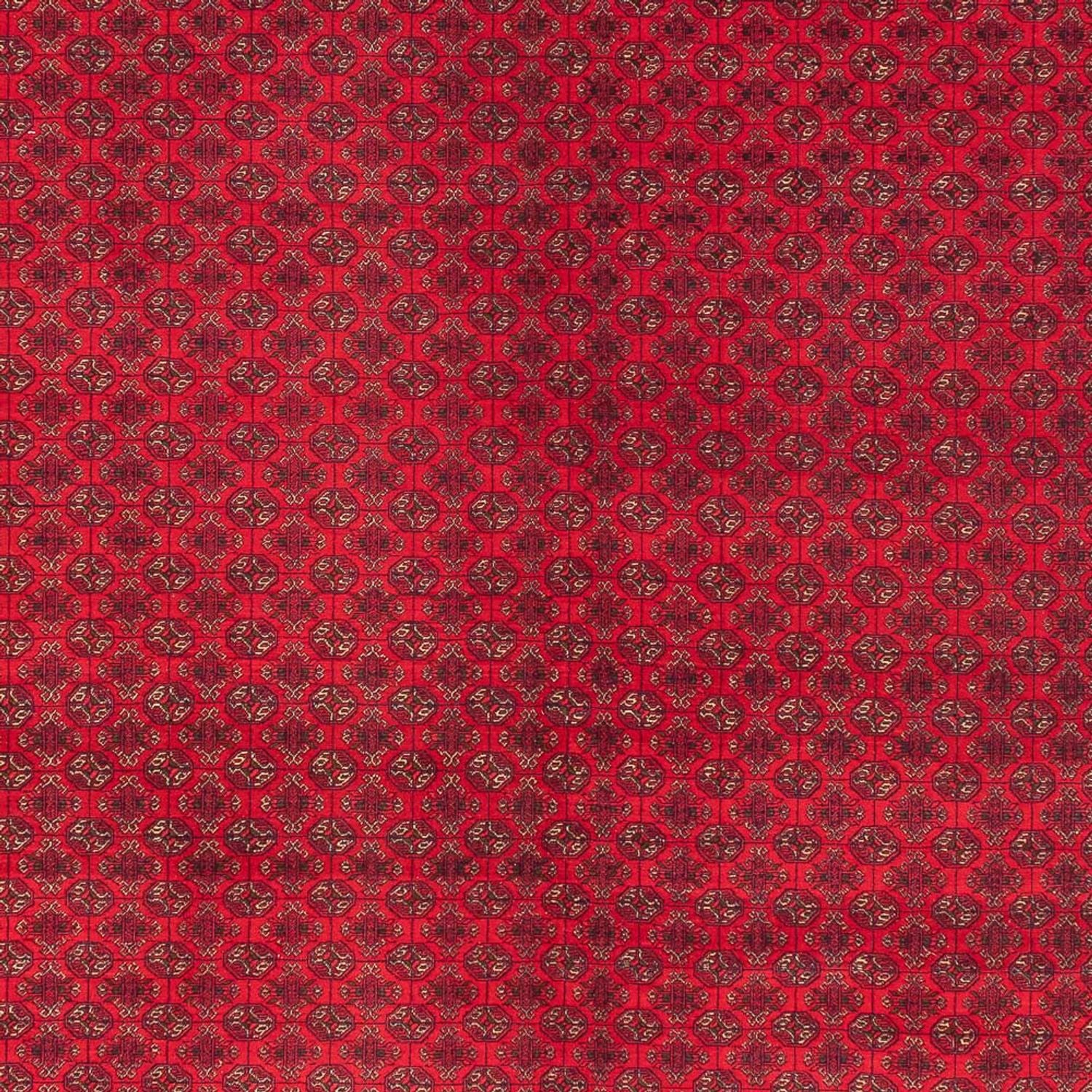 Tappeto afgano - Reale - 404 x 294 cm - rosso