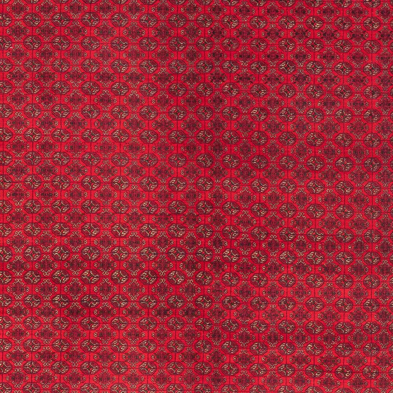 Tappeto afgano - Reale - 404 x 294 cm - rosso