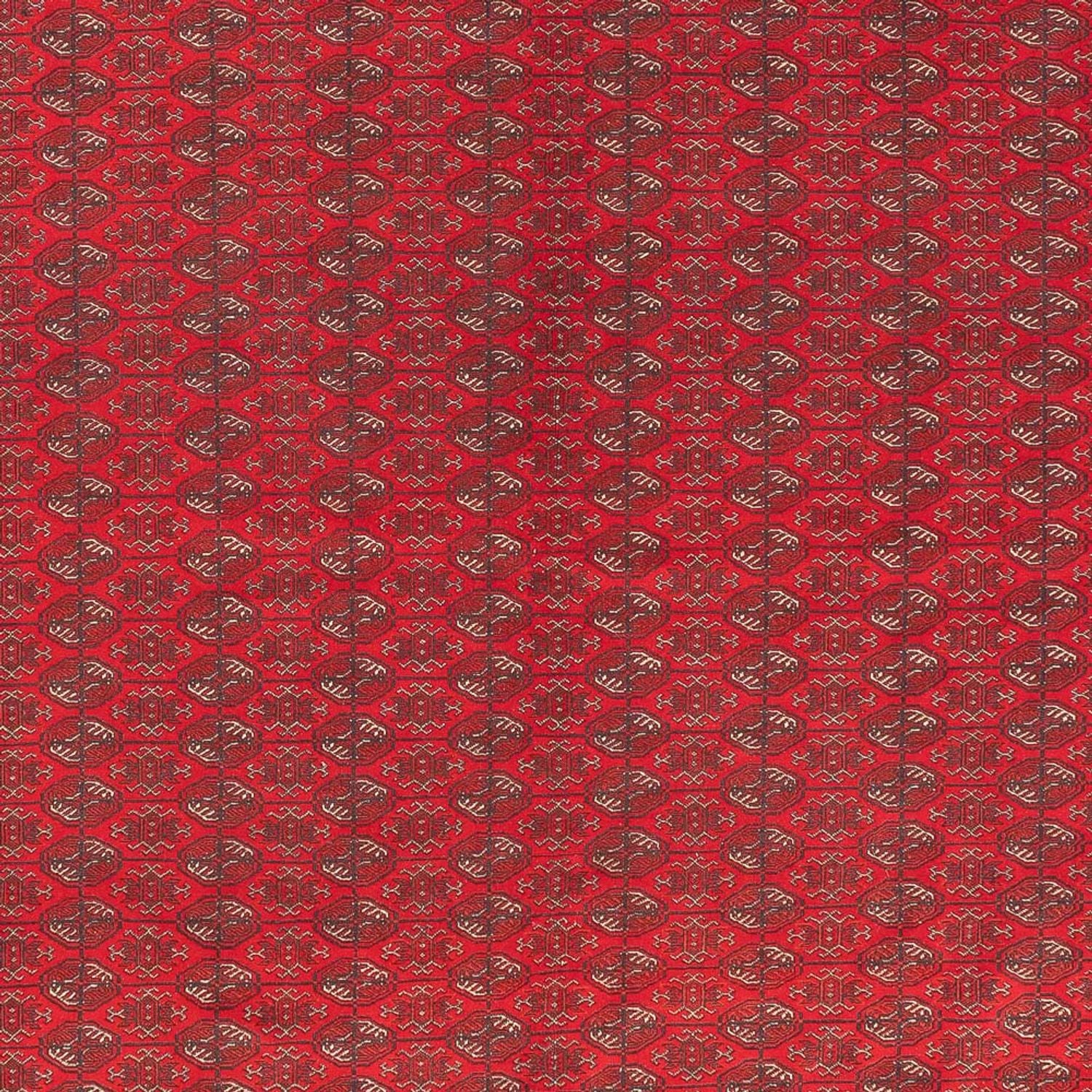 Tappeto afgano - Reale - 400 x 305 cm - rosso