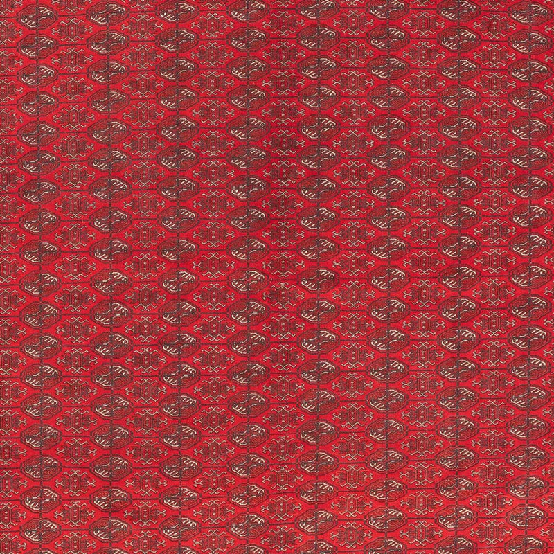 Tappeto afgano - Reale - 400 x 305 cm - rosso