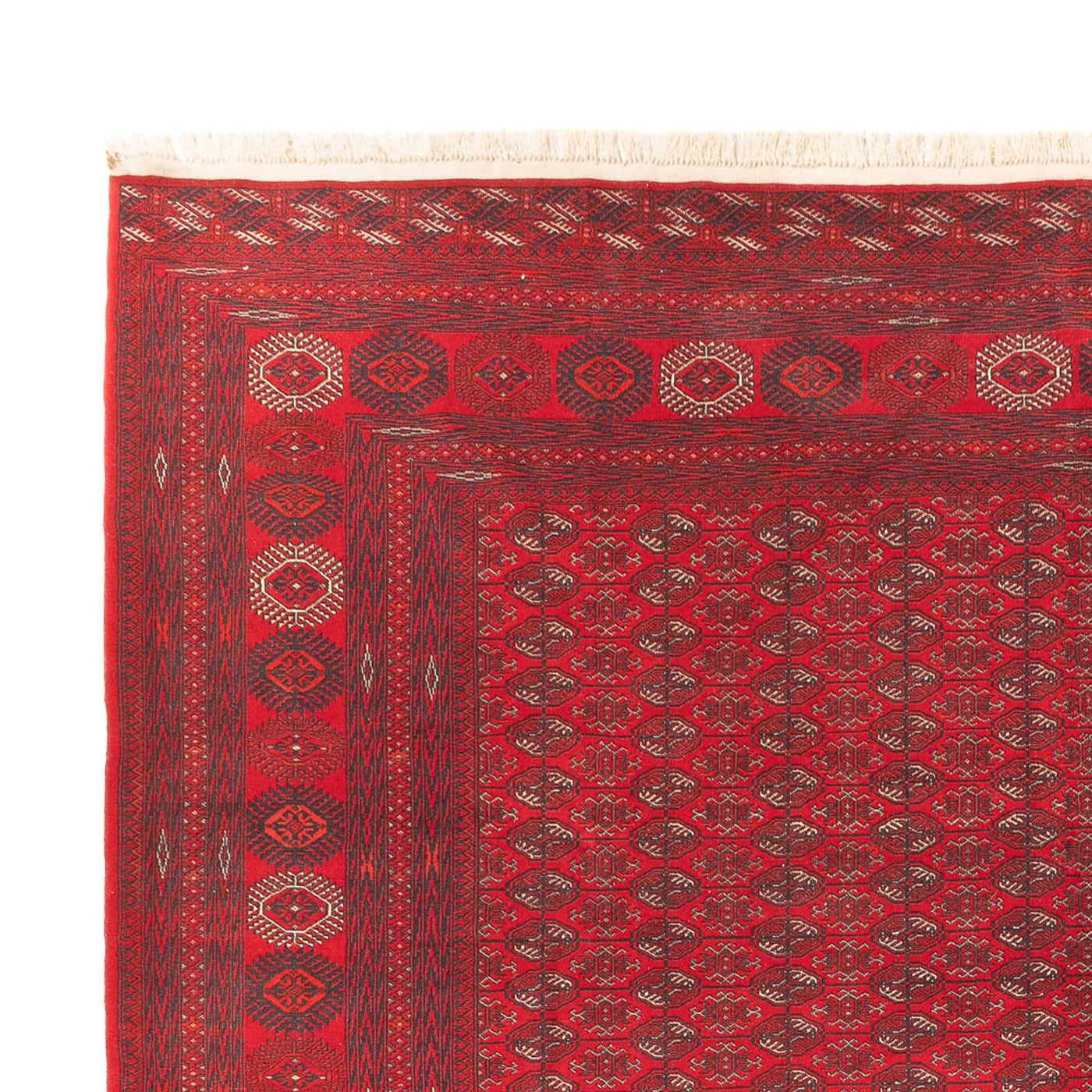 Tappeto afgano 400x305cm - Tappeto orientale