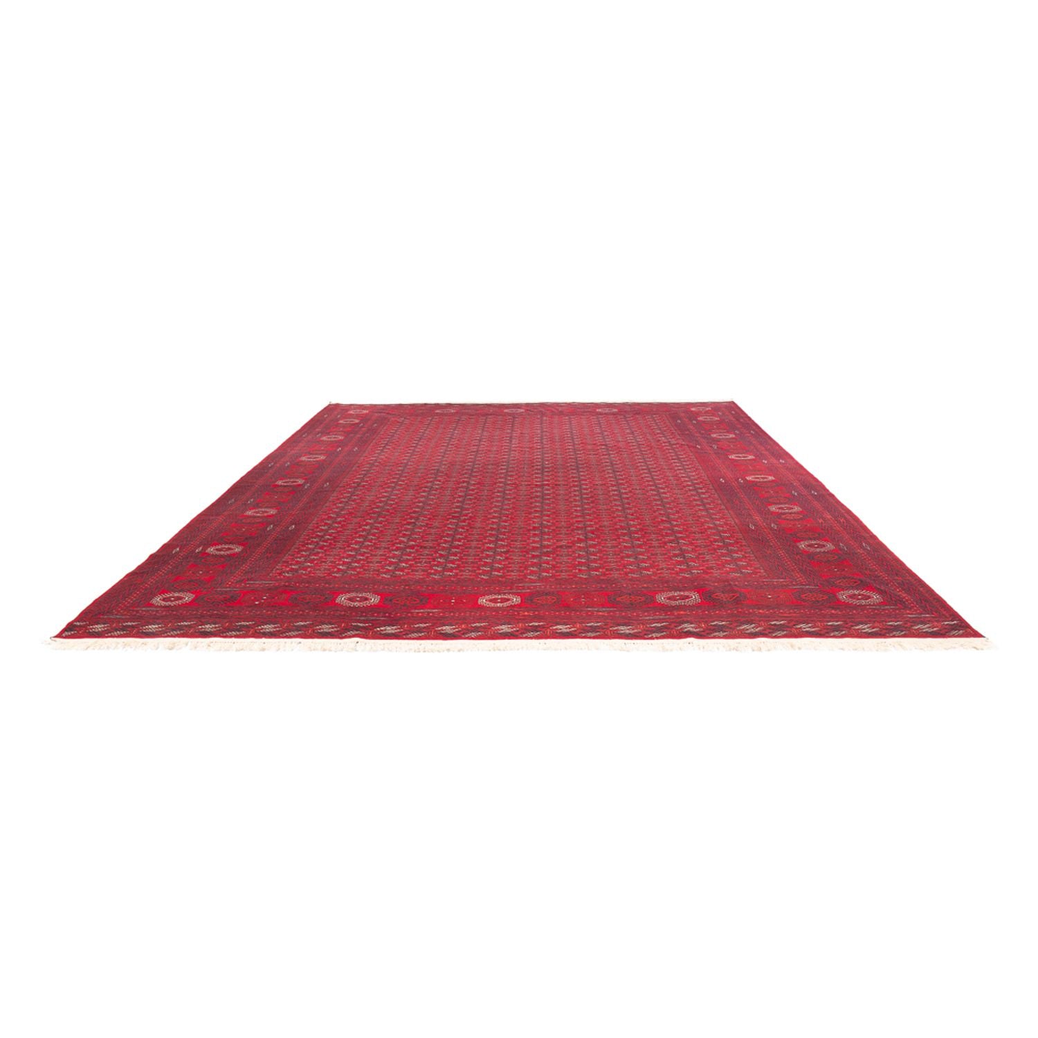 Tappeto afgano - Reale - 400 x 305 cm - rosso