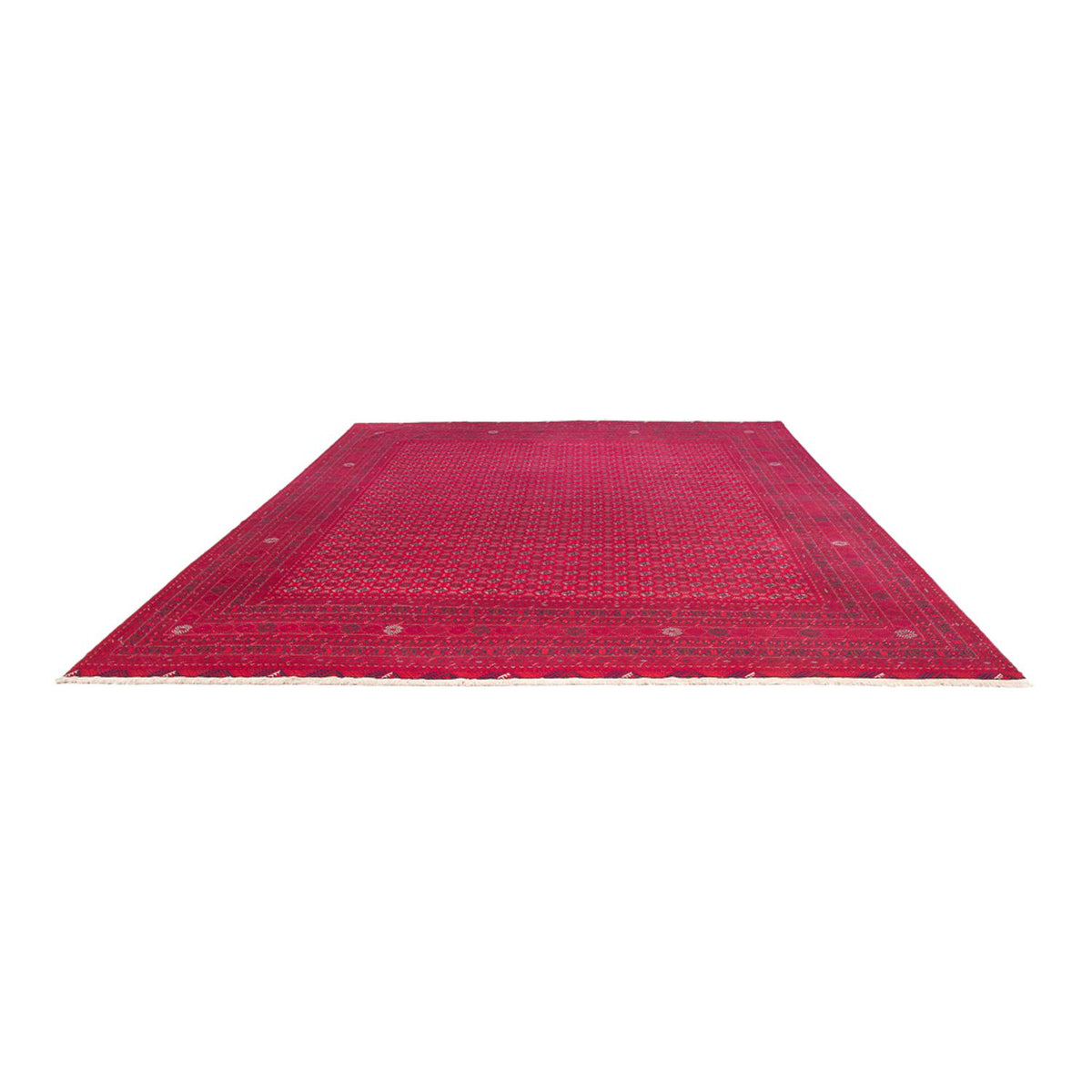 Tappeto afgano - Reale - 395 x 294 cm - rosso