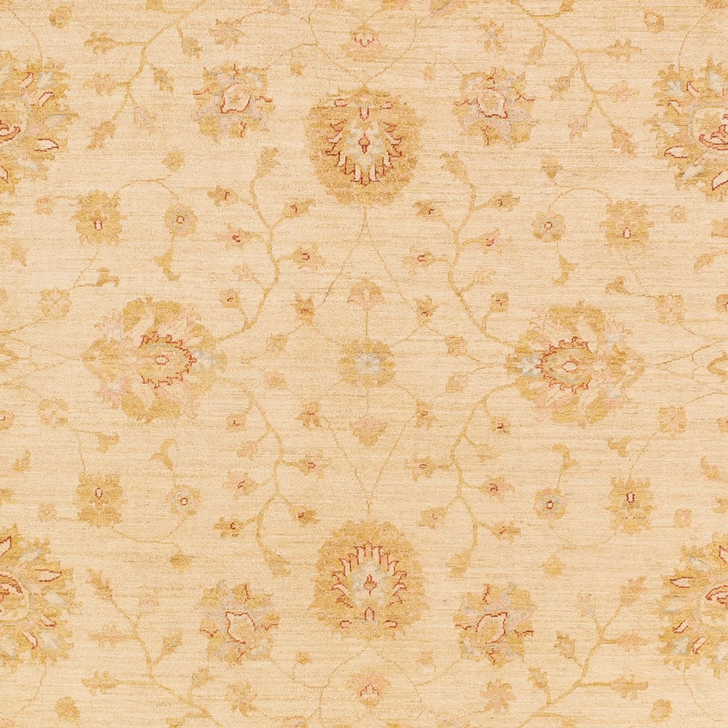 Tappeto Ziegler - 365 x 273 cm - beige
