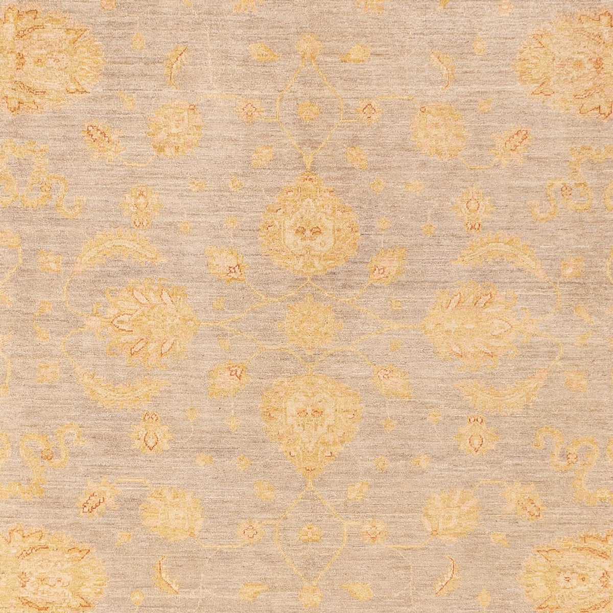 Tappeto Ziegler - 360 x 271 cm - beige scuro