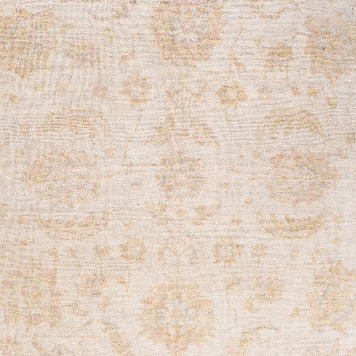Tappeto Ziegler - 240 x 162 cm - crema