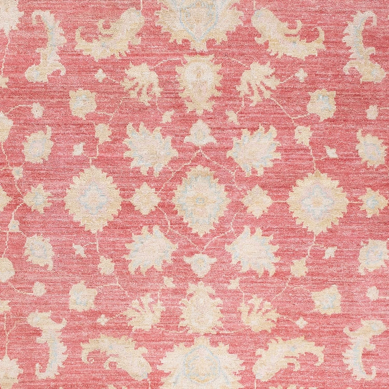 Tappeto Ziegler - 245 x 175 cm - rosso