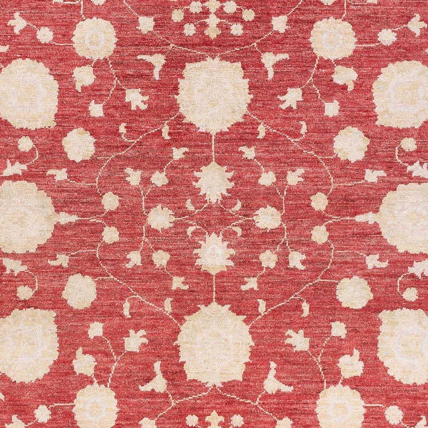 Tappeto Ziegler - 240 x 175 cm - rosso
