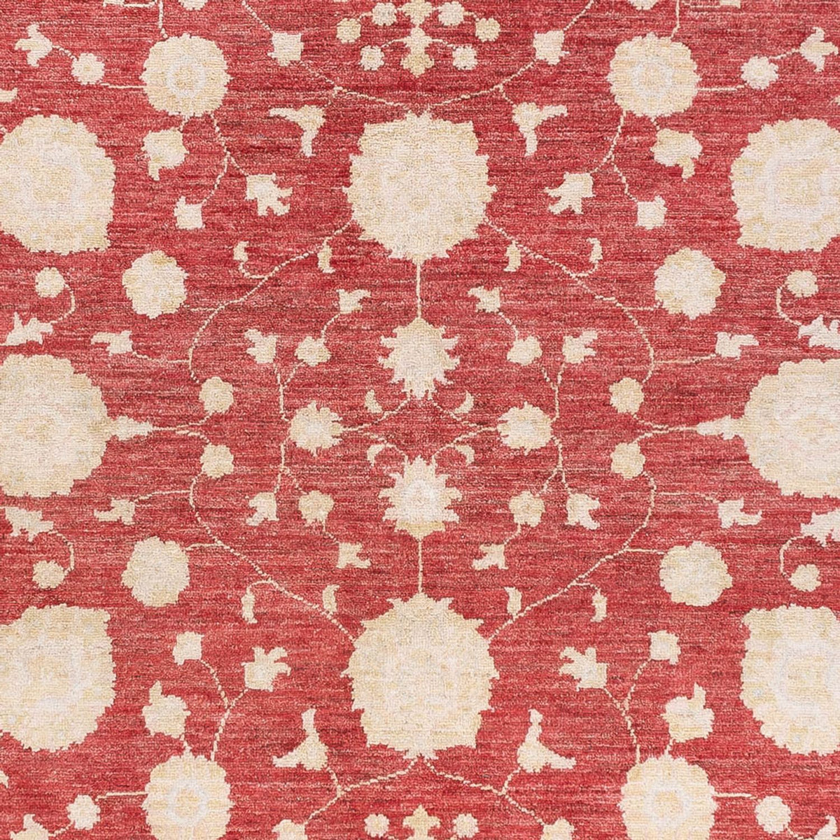 Tappeto Ziegler - 240 x 175 cm - rosso