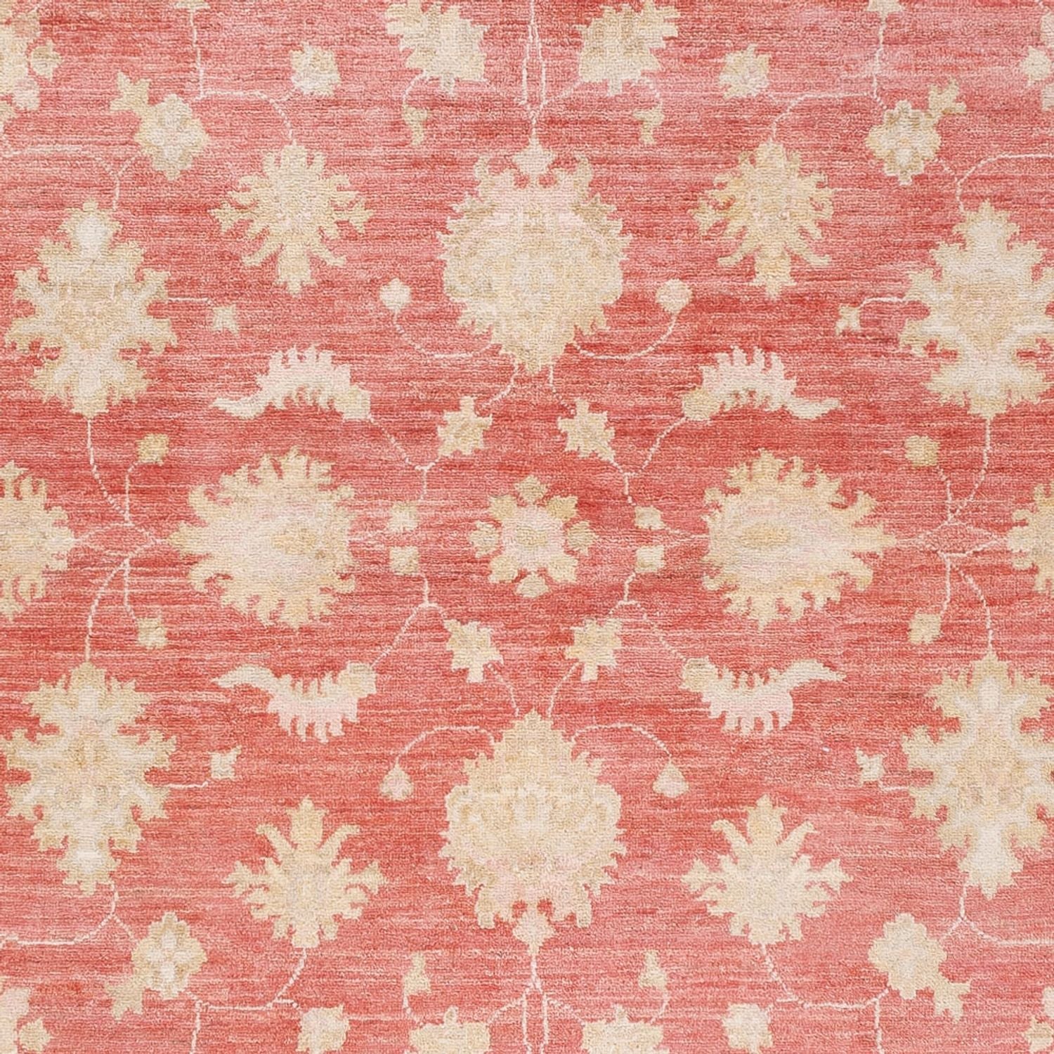 Tappeto Ziegler - 248 x 174 cm - rosso