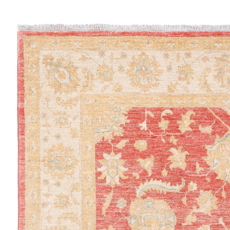 Tappeto Ziegler - 241 x 173 cm - rosso