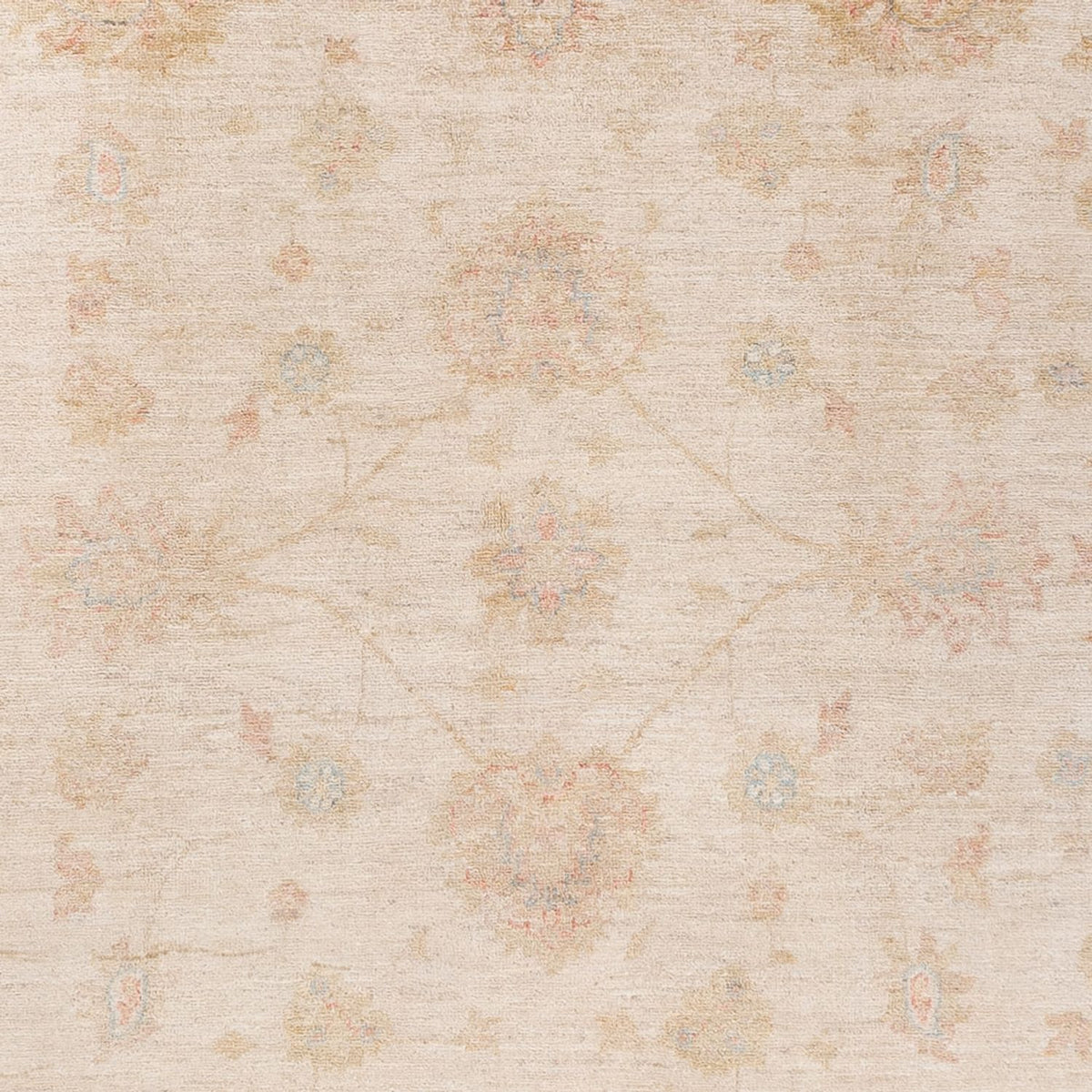 Tappeto Ziegler - Ariana - 229 x 170 cm - beige