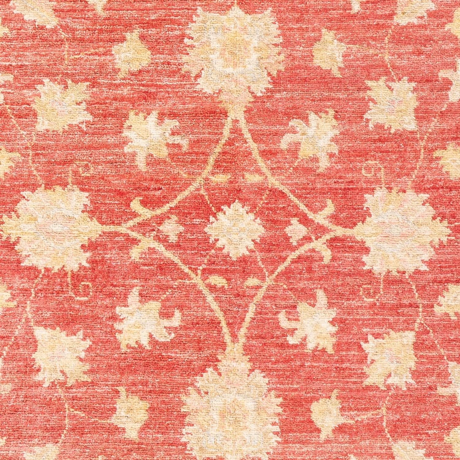 Tappeto Ziegler - 176 x 116 cm - rosso
