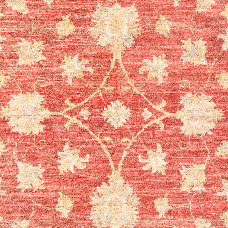 Tappeto Ziegler - 176 x 116 cm - rosso