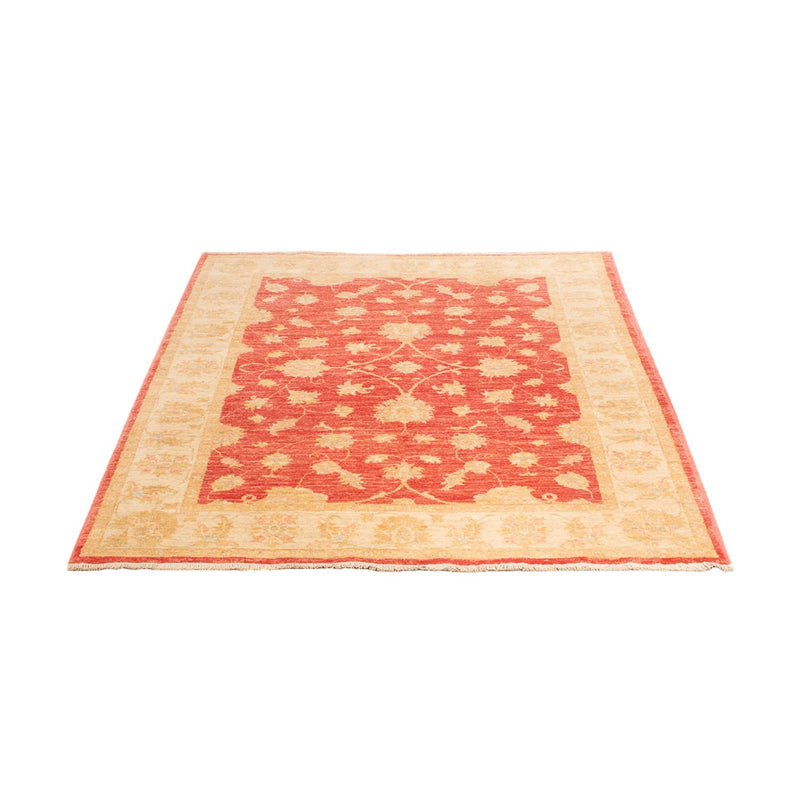 Tappeto Ziegler - 176 x 116 cm - rosso